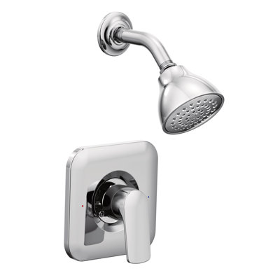 Rizon Shower Head with Handle and Posi-Temp