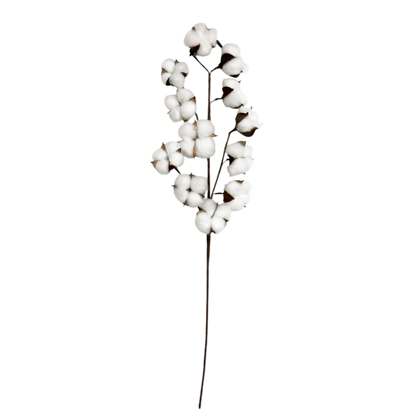 Vaporisateur de coton 27,5 pouces 12p