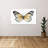"Vintage Flutter II" by Tava Studios Print on Canvas-490108330