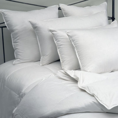 Belle Epoque Chateau Down Pillow In Medium
