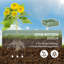 Avonleigh Planter Box-587374969
