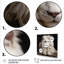 «Ivory King portrait Elegance - Lion», art mural encadré-354945642-354945653
