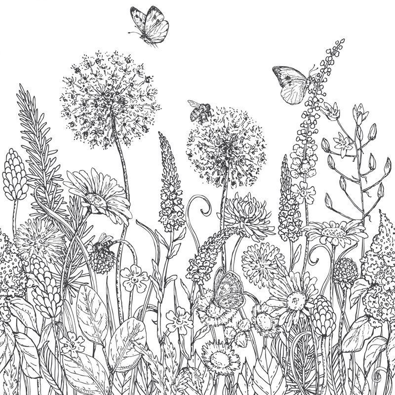 Cariveau 2.5m x 2.5m Matte Wallpaper Roll, 250 x 250cm