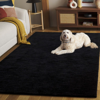 Shandrea Hand Tufted Performance Rug