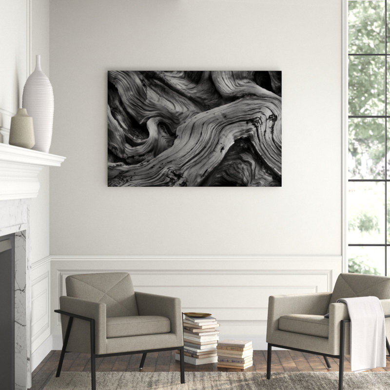 Bristlecone Study Print by Harold Davis, Matte, 40" H x 60" W