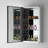 Senza 15" W x 52" H Surface/Recessed Mount Rectangular Bathroom Mirrored Medicine Cabinet