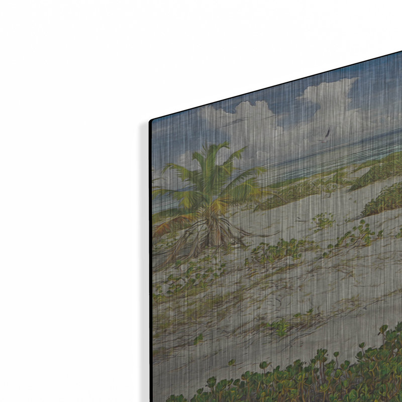 «Tropical Loners» par Steve Hunziker OOB, H 12 po x l 24 po