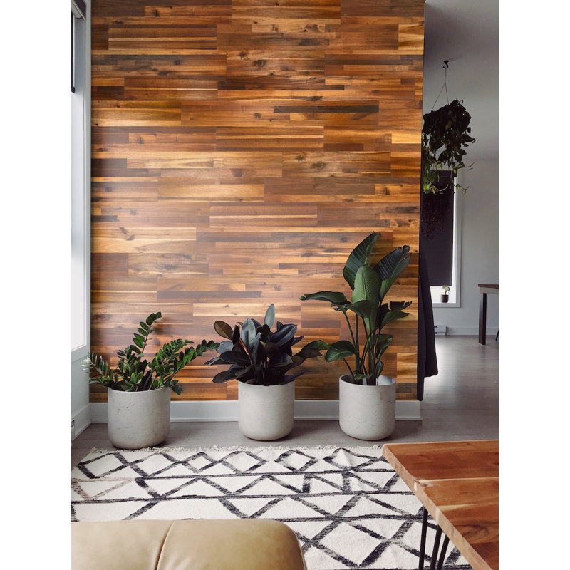 Ensemble de panneaux en bois thermiquement «Clouds» pour un design intérieur et extérieur moderne (l'ensemble couvre 10,2 pi²)