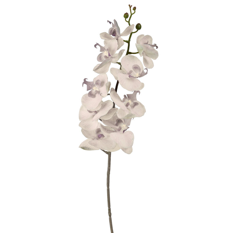 Fabric Orchid Arrangement, Cream