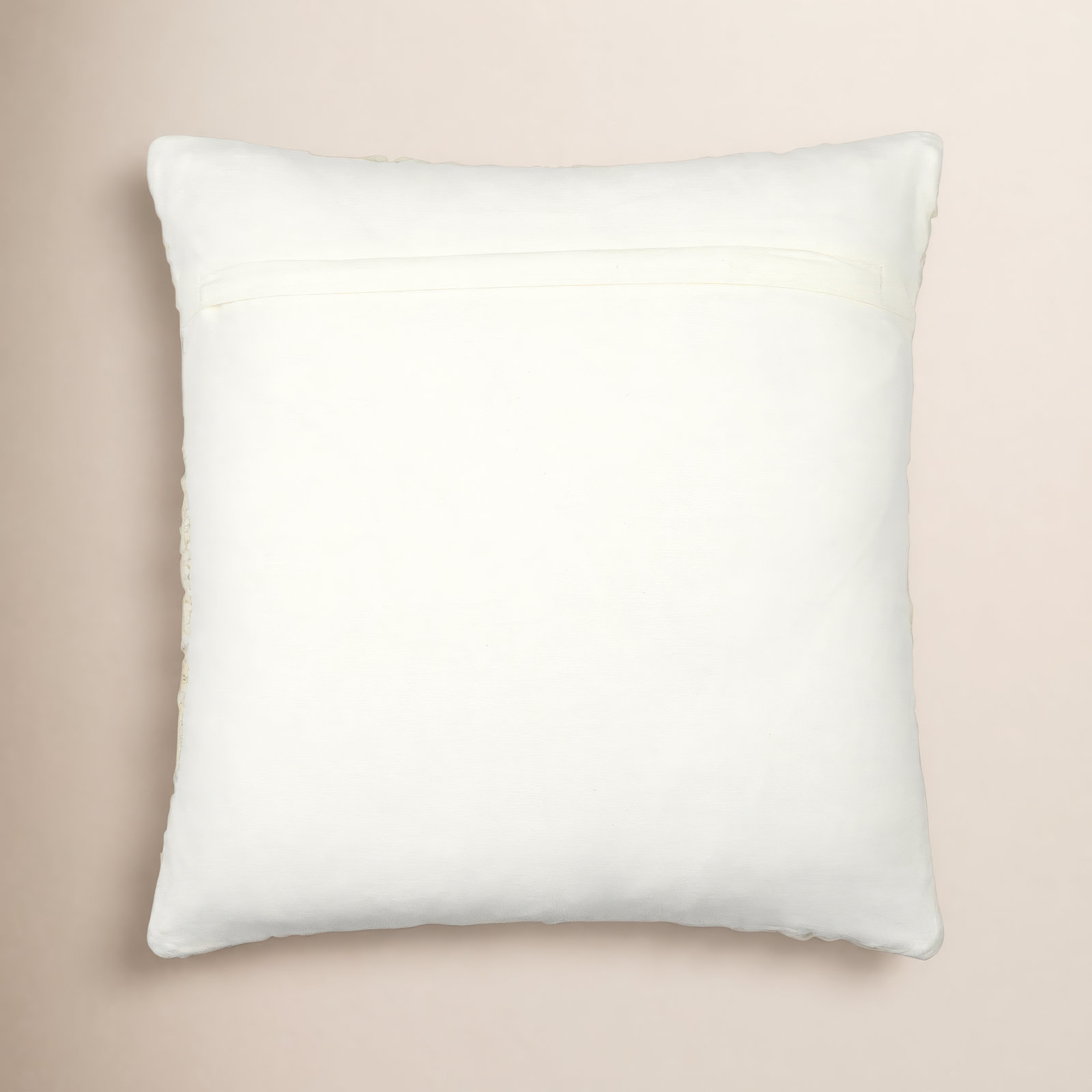 Blakesley Throw Pillow, 20" x 20", Down