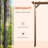 Garden Arch Trellis, Built-in Planter Boxes For Climbing Plants Vines, Romantic Ornamental Arch For Outdoor Wedding Events Patio Yard Landscape Decoration-127388166