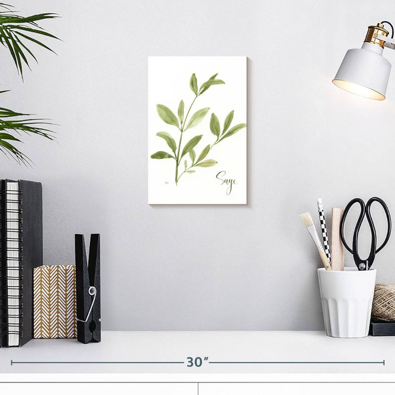 Harnek herbe sauge, H 12 po x l 8 po