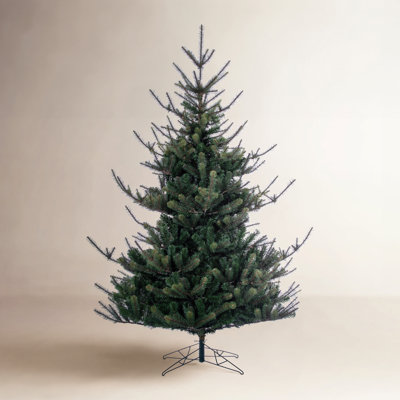 Fir Christmas Tree