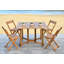 Outdoor Brytney 4 Seater Dining Set-1011546455