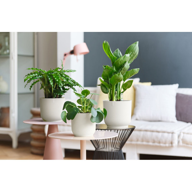 Pot Planter, Silky White, 20.2cm H x 22cm W x 22cm D
