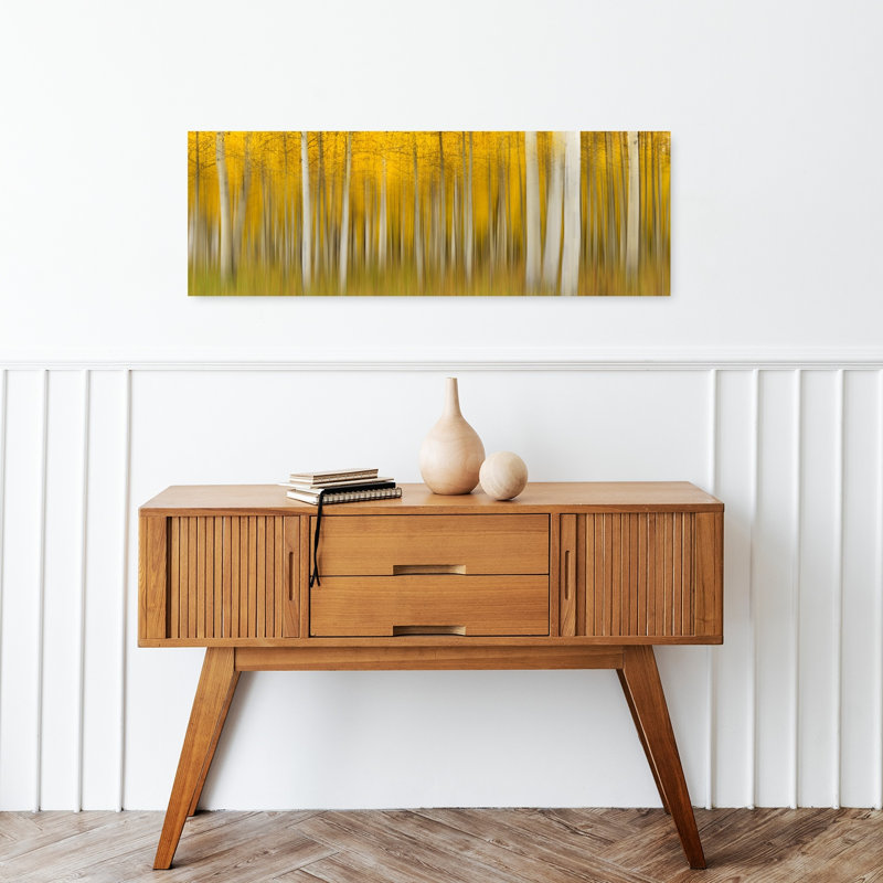 Golden Aspen Blur, H 12 po x l 36 po