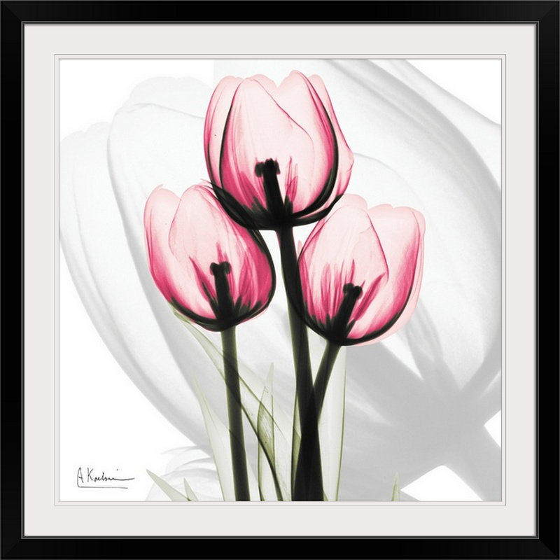 'Tulips X-Ray by Albert Koetsier Photographic Print Ebern Designs 