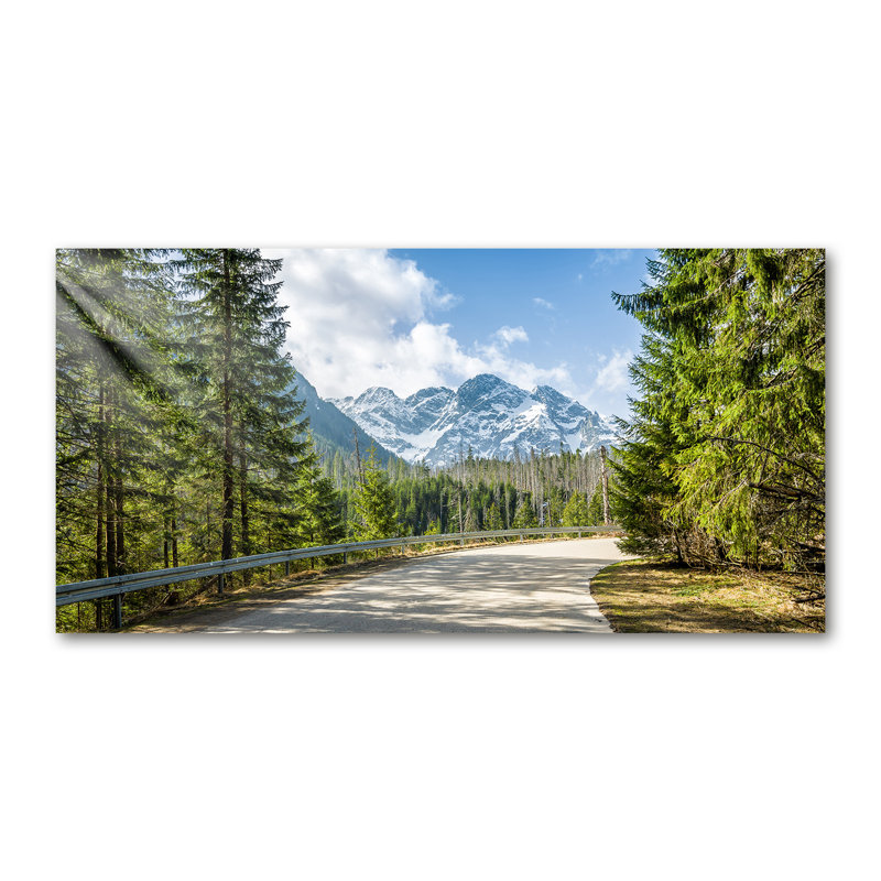 50cm W x 100cm L Glass Peel and Stick Panel
