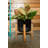 Borquez Handmade Ceramic Pot Planter-1482517065
