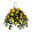 Hibiscus de fleurs suspendue à queue-32730967