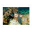 «Sea Turtle» par Ilan Ben Tov, reproduction de photo sur toile tendue-935134714