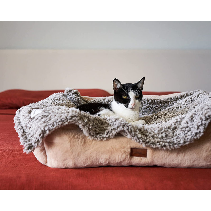 Couverture pour animaux de compagnie Pet Parents®, L 32 po x L 40 po, Ardoise