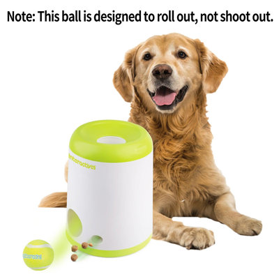 Jouet pour chien Interactives