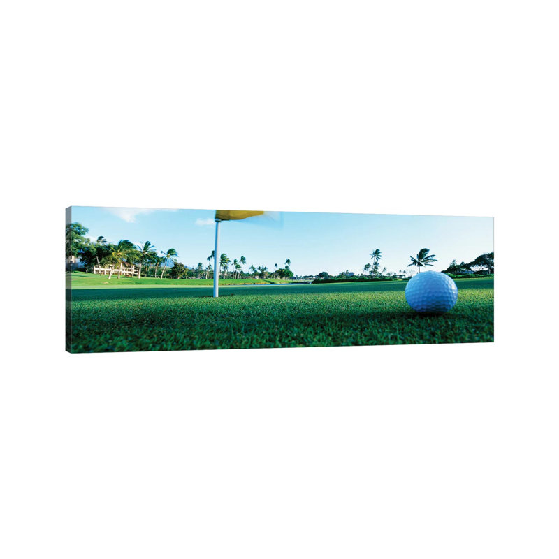 Close Up Golf Ball And Hole, Hawaii, USA - Wrapped Canvas Panoramic Print, 30.48 cm H x 91.44 cm W x 3.175 cm D
