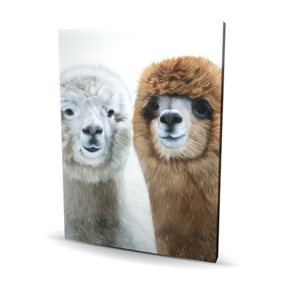 Two Lamas White Canvas Home Decor for Animal Lovers Two Lamas White Canvas Home Decor for Animal Lovers