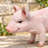 Pig Garden Statue