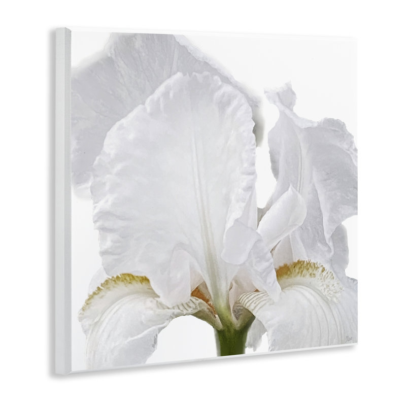 Iris Close Up Wall Plaque Art, design by Nan