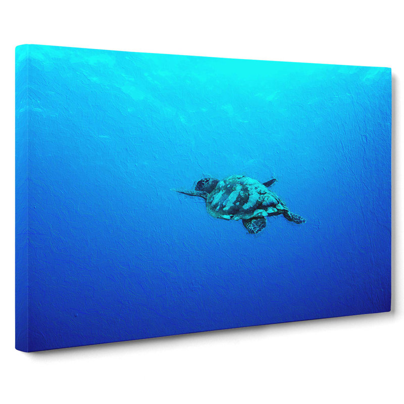 Swimming Turtle - Wrapped Canvas, 35cm H x 50cm W x 3cm D