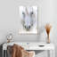 Cheval arabe roussi Brampt-108255810