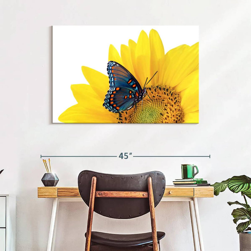 Tournesol Brampt avec papillon, H 26 po x l 39 po