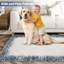 Tapis lavable à la machine avec envers en caoutchouc Randolph-305212211