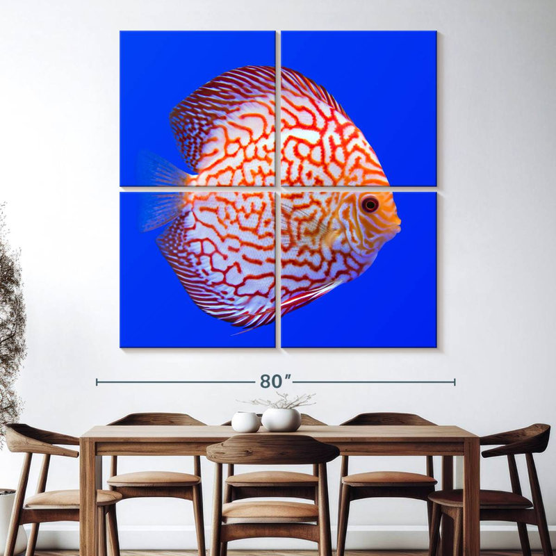 Brampt Exotic Discus Fish, 74" H x 74" W