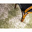 Tapis vert de style oriental-666663985