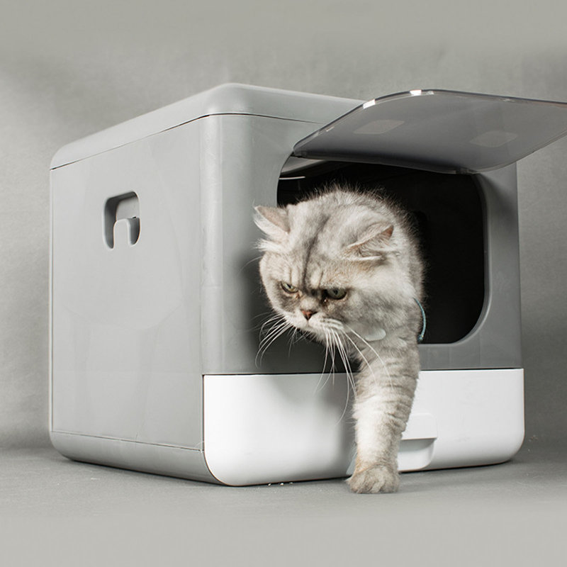 Grande litière en plastique anti-dégâts pour chat