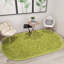 Tapis vert 2 pi 6 po x 5 pi 3 po Priddy