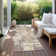 Chayden Indoor/Outdoor Chantille ACN1008 Area Rug