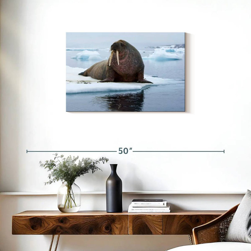 Morse sur glace, H 20 po x l 30 po