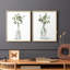Botanical Arrangement I-Premium Framed Print -Ready to Hang - No Nails Required - No Nails Required-733888526-733888524
