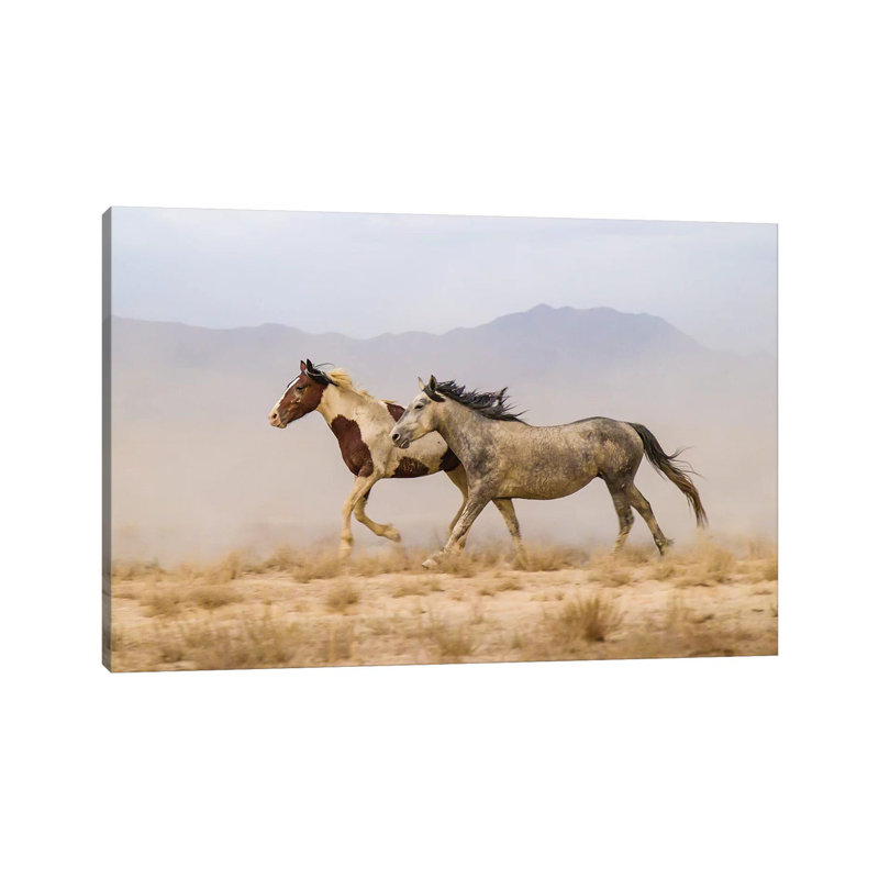 USA, Utah, Tooele County. Wild Horses Running. by Jaynes Gallery - Wrapped Canvas Gallery-Wrapped Canvas Giclée