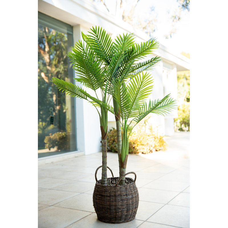 62'' Faux Palm Tree in Basket
