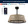 Cressida 23.75" Traditional Bohemian 6-Speed Metal/Bamboo Mobile-App/Remote-Controlled Height-Adjustable Dimmable Caged Integrated LED Ceiling Fan