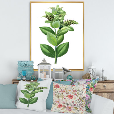" Leaves Plants VI "