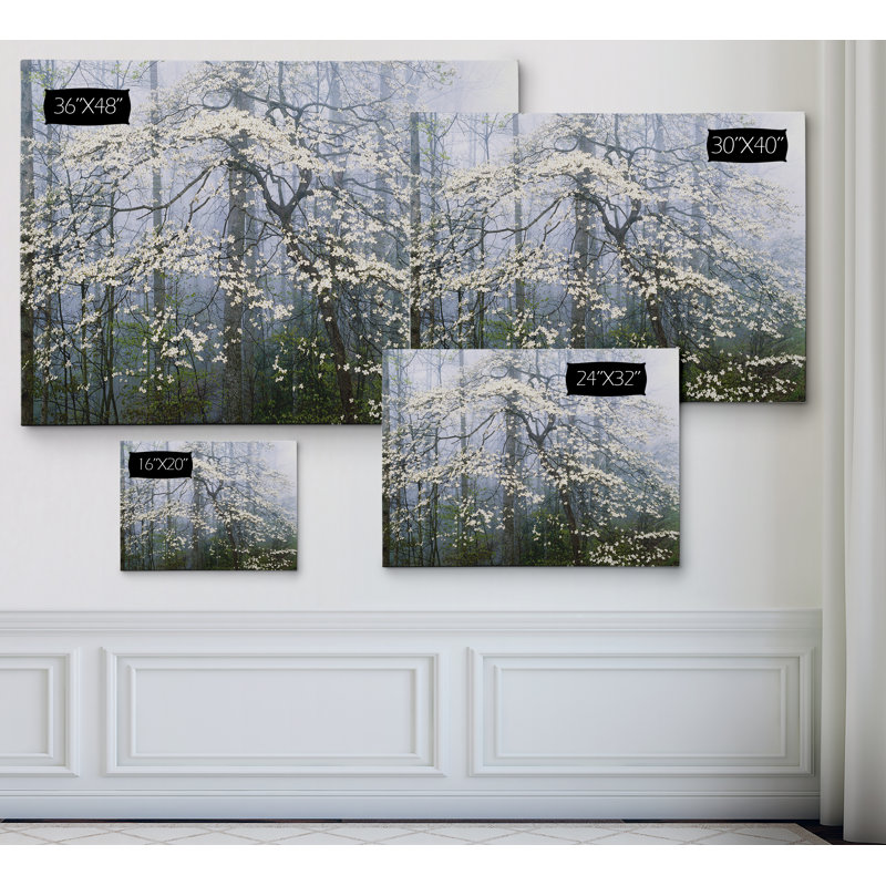 " Jones _ Dogwood Canopy ", 16" H x 20" W x 1.5" D, Wrapped Canvas