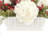 Holiday Hydrangea and Cranberry Arrangement