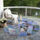 Machine Washable Indoor/Outdoor Xhevrie Green Rug