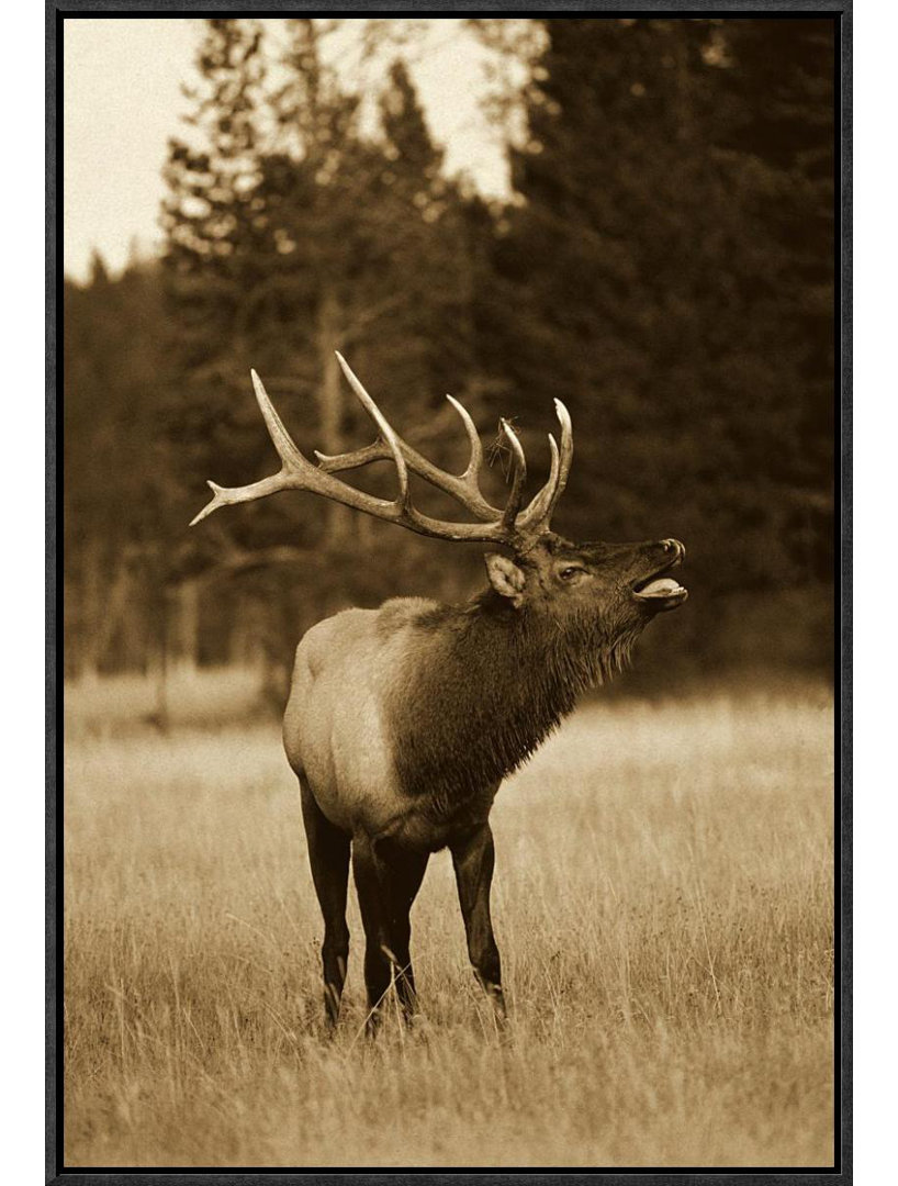 Modern & Contemporary Global Gallery